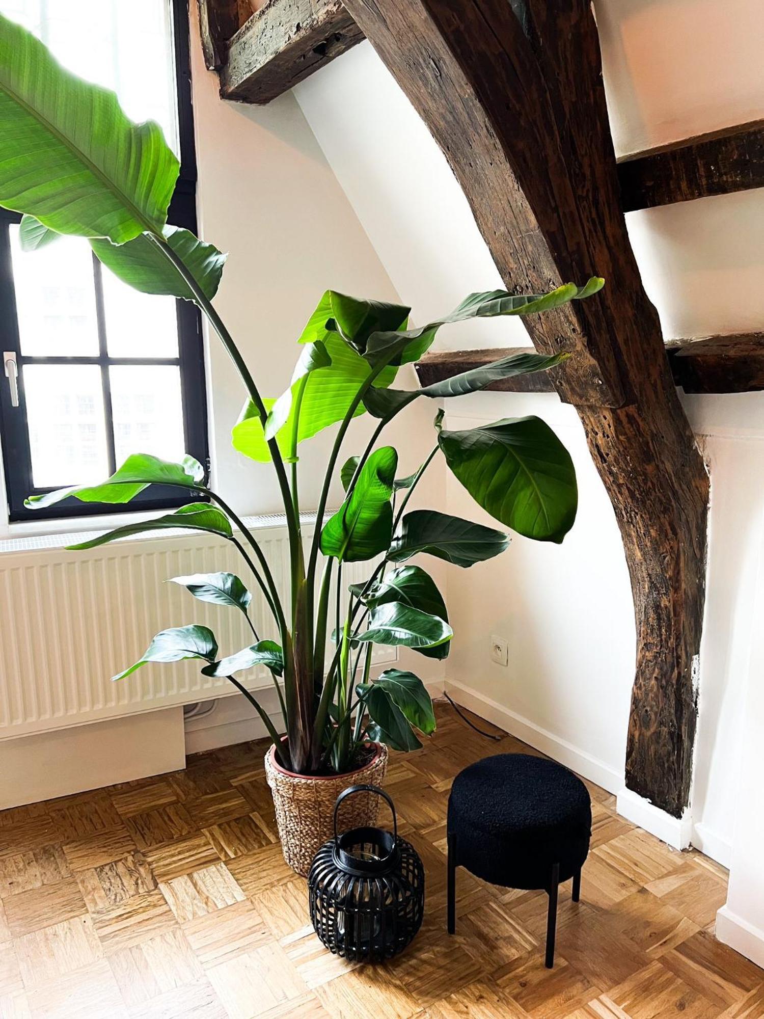 Nammos Home'S Antwerpen Eksteriør bilde